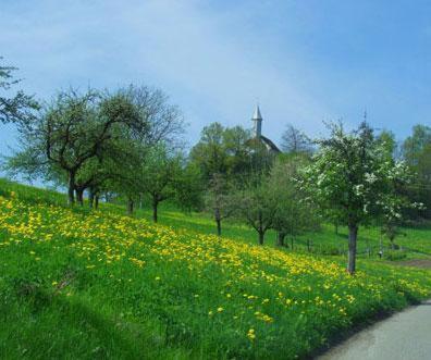 Landgasthof Hirschen Albbruck Esterno foto
